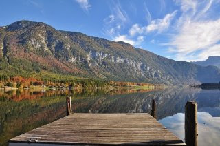 청년도약계좌 금리