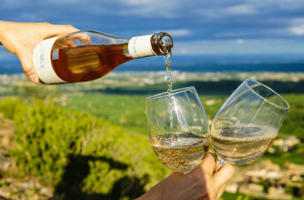 와이너리 여행 실전 가이드 및 팁