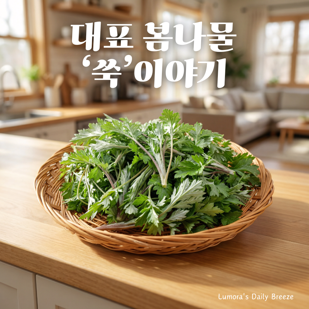 한국의 대표 봄나물 쑥의 효능 총정리 이미지. 쑥이 바구니에 가득 담겨있는 썸네일 이미지.