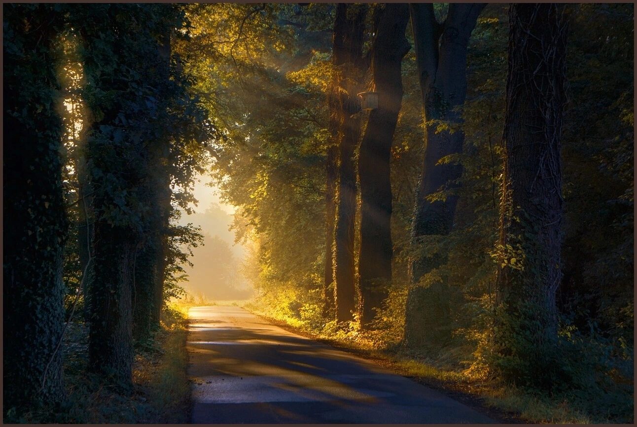 농협은행 정기예금 금리