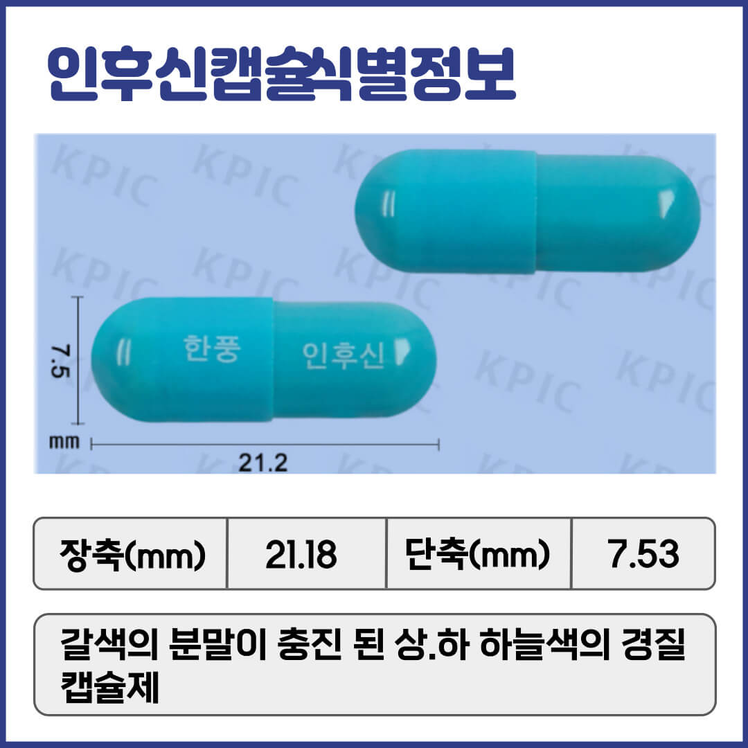 인후신캡슐 식별정보