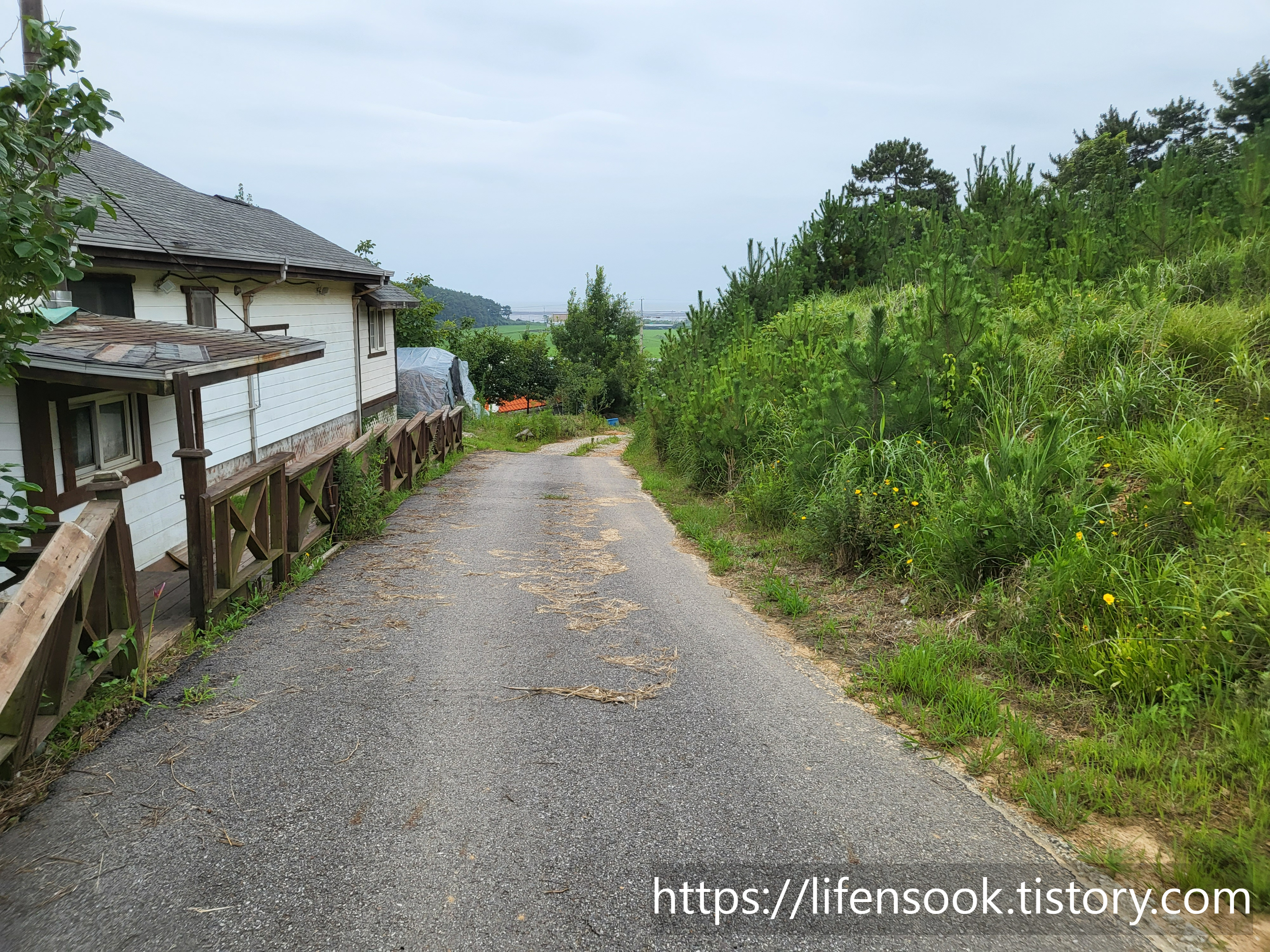 대부해솔길 3코스 길 11