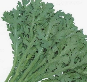 쑥갓의 효능 부작용 고르는법 칼로리 꽃