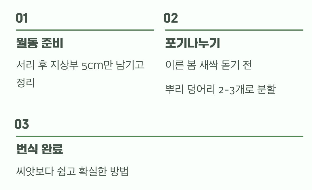 꽃 진 뒤의 약속&amp;#44; &amp;#39;관리와 번식&amp;#39;