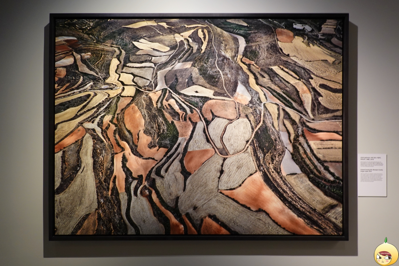 건조지 농업 #24, 모네그로스 카운티, 아라곤주, 스페인, 2010