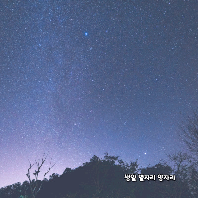 생일 별자리로 알아보는 성격 - 양자리