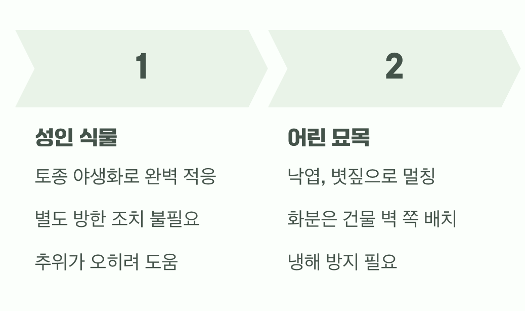 추운 겨울도 거뜬하게, '월동'