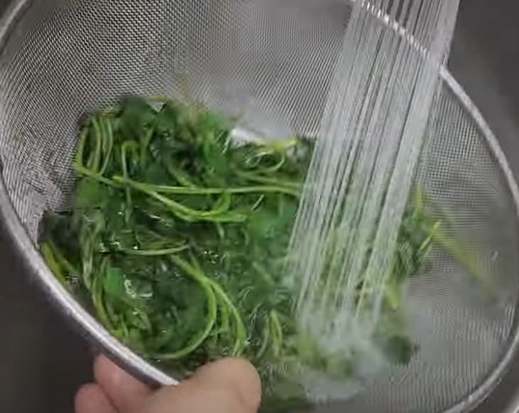 취나물 무침 물에 씻는 인포그래픽