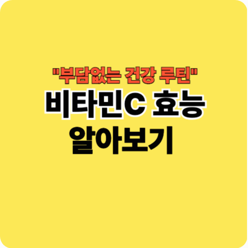 비타민C 효능