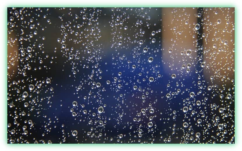 장마철 집안의 습기와 곰팡이 방지&amp;#44; 관리 및 제거 방법