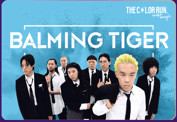 컬러런 (THE COLOR RUN) 라인업 및 티켓예매