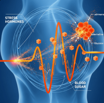 혈당 스파이크 증상 및 예방법9