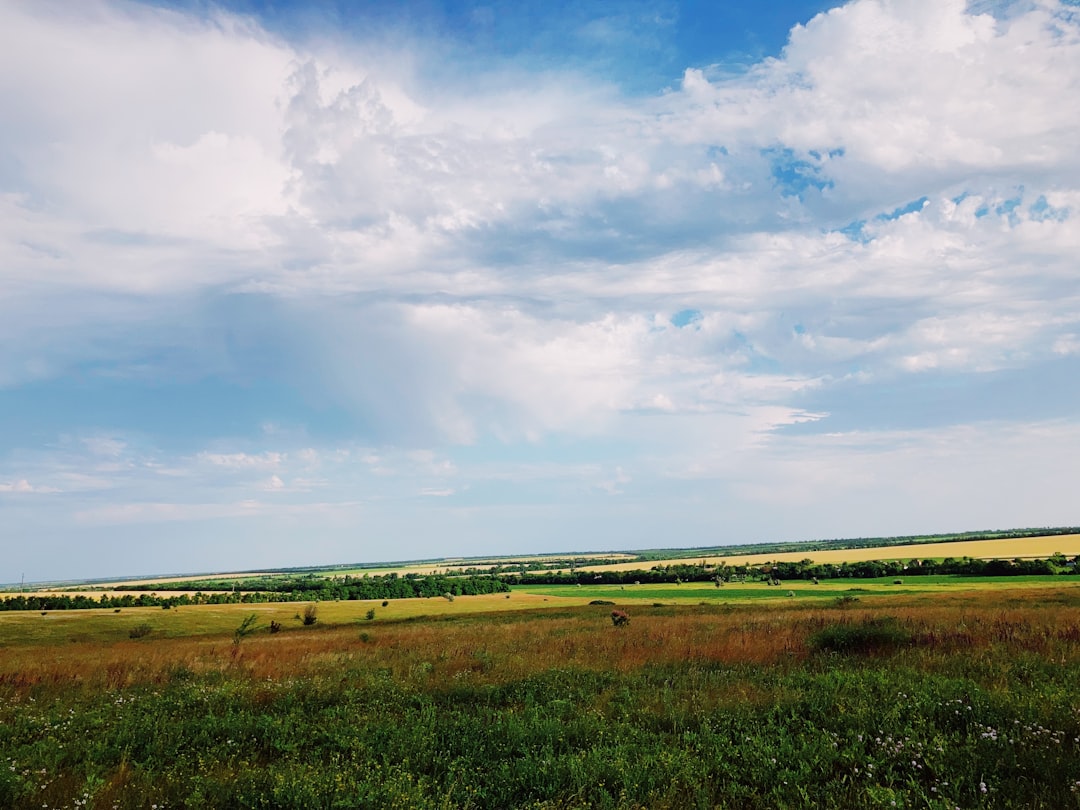 Land.