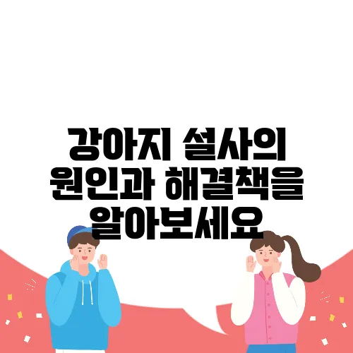 강아지 설사의 원인과 해결책을 알아보세요