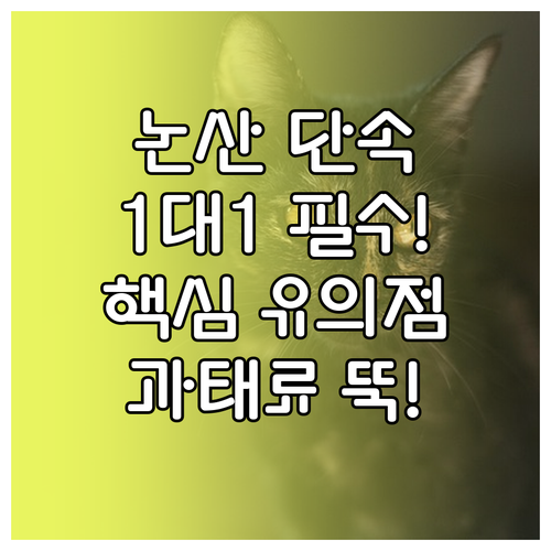 논산 주정차 단속 알림 서비스 1대 ..