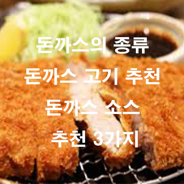 돈까스의 종류 돈까스 고기 추천 돈까스 소스 추천 3가지