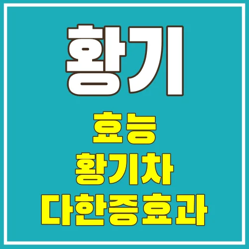 황기효능