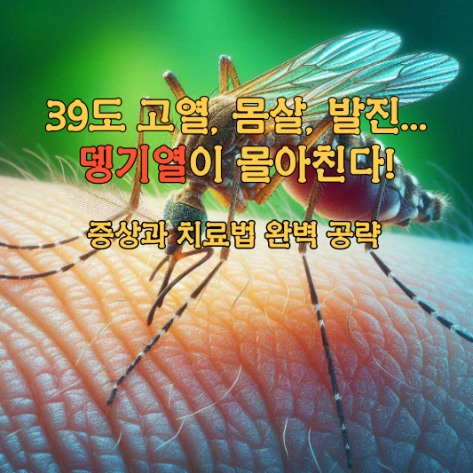 39도 고열, 몸살, 발진... 뎅기열이 몰아친다! 증상과 치료법 완벽 공략