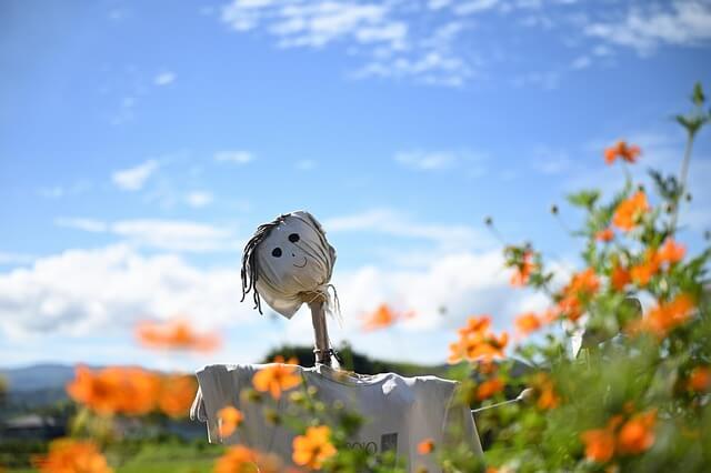 지적도 임야도 무료 열람 발급 방법