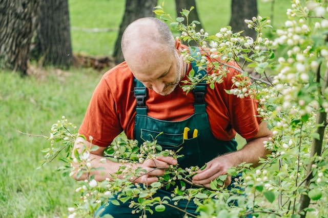 산림복지일자리(산림서비스도우미)신청방법