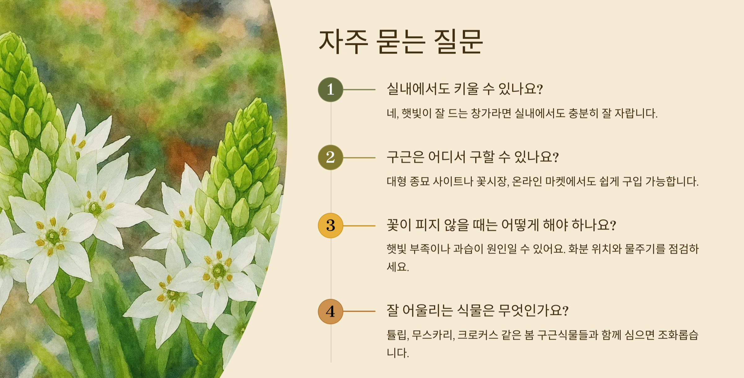 오니소갈룸