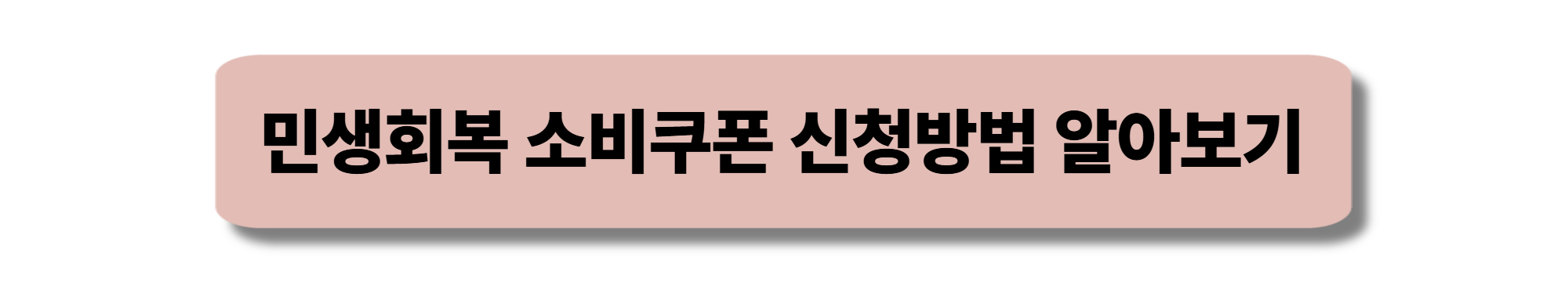 민생회복 소비쿠폰