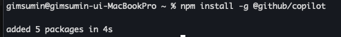npm을 통한 Copilot CLI를 설치 하는 터미널 화면