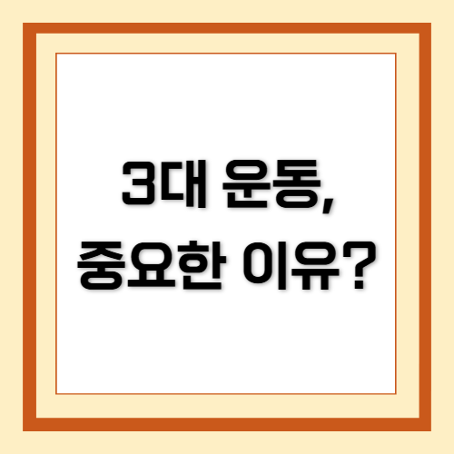 기초 3대 운동, 스쿼드, 벤치프레스, 데드리프트