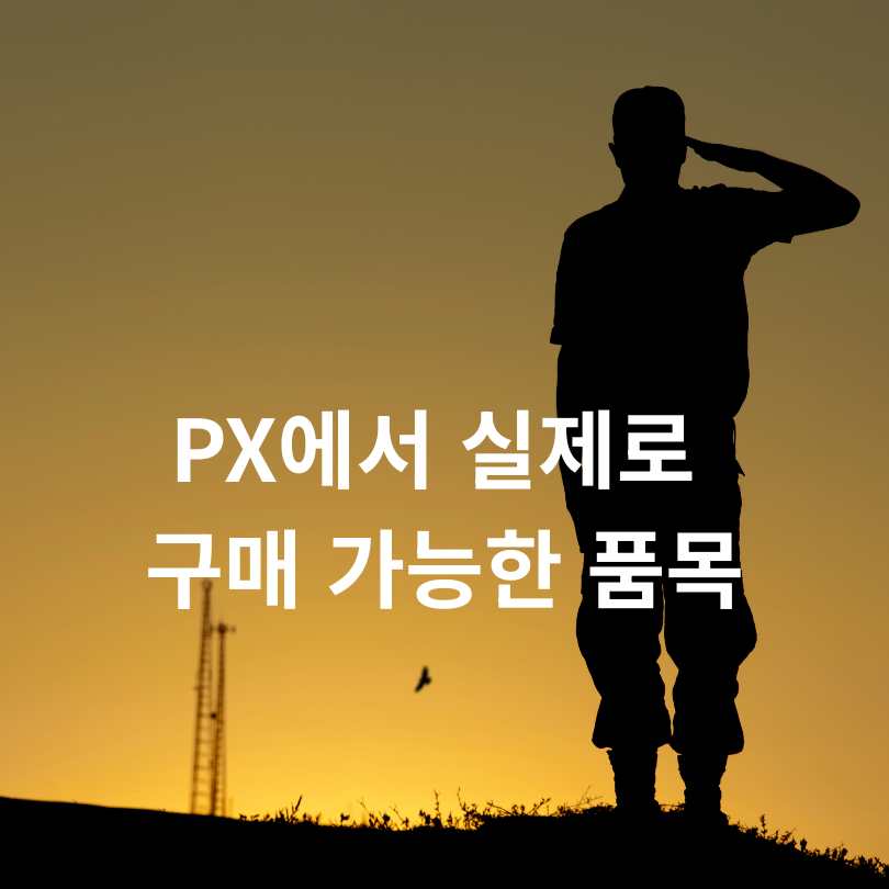 군인 민생회복 소비쿠폰 활용 꿀팁 
