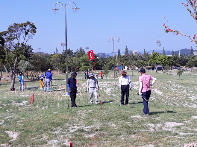 삼호대불파크골프장 (영암 삼호파크골프장)