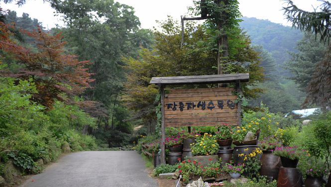 장흥자생수목원 이미지