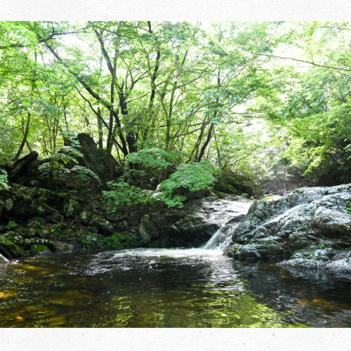 내린천 숲속 캠핑장 전경