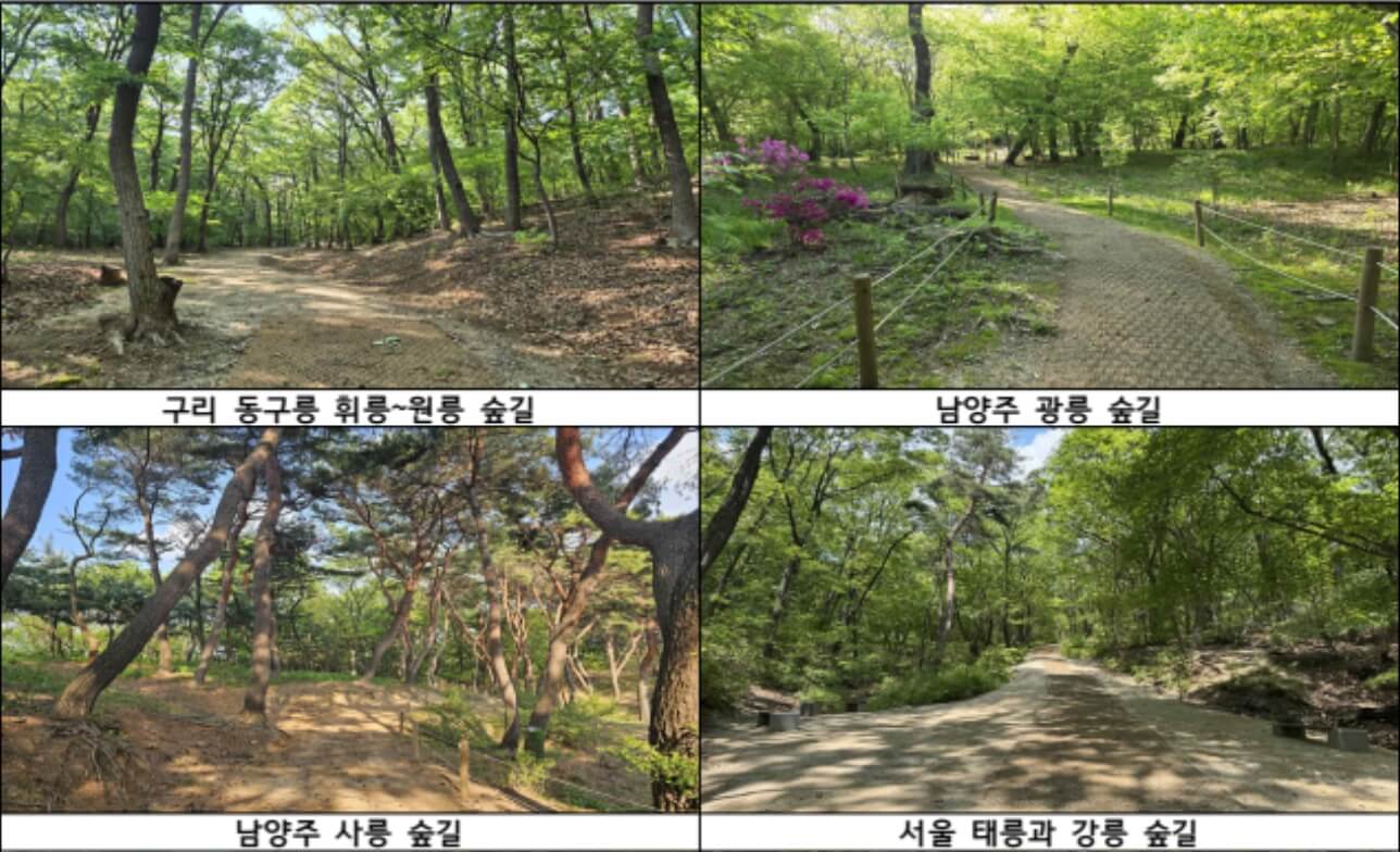 2025 조선왕릉 숲길 8선 개방 총정리!