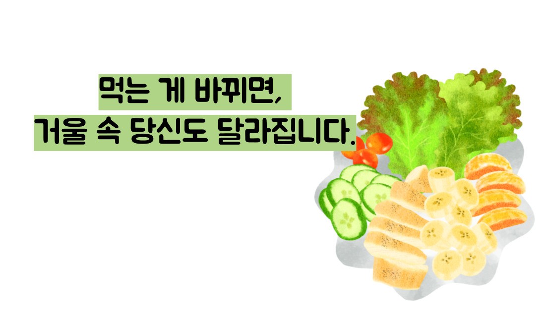 저속노화 식단
