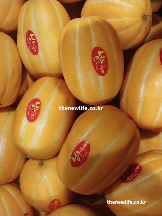 참외 효능을 높이기 위해 껍질째 섭취하는 방법을 보여주는 참외 실사진