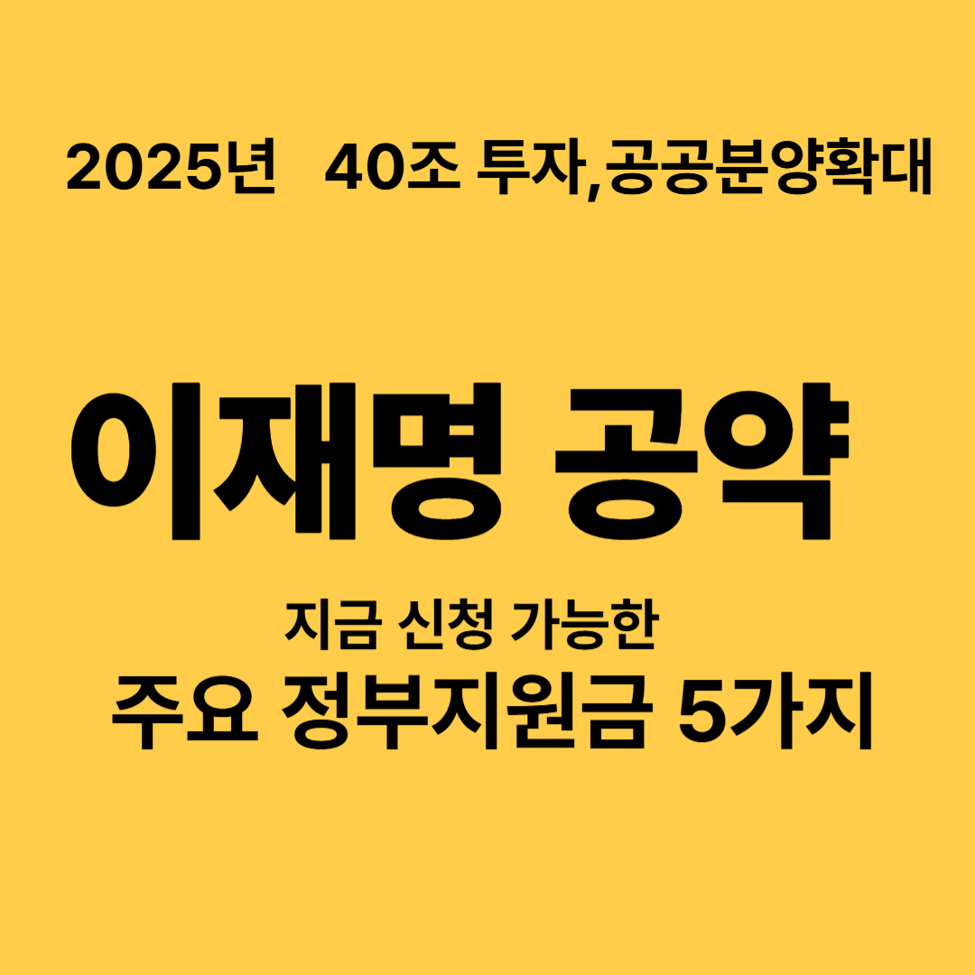 2025 이재명 공약 '실제로 신청 가능한 지원금'