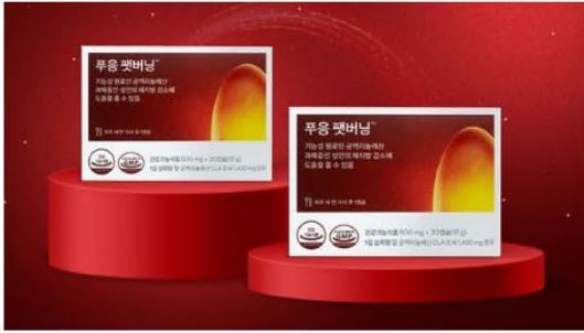 푸응-팻버닝-가격