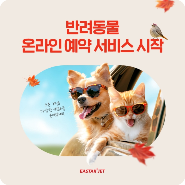 이스타항공 반려동물 온라인 예약 서비스 소개 반려견 반려묘 동반 여행 국내선 제주 김포 김해 청주 비행기 탑승 항공권 이벤트