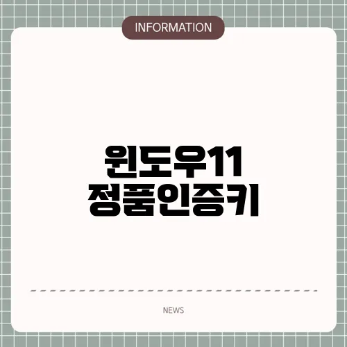 윈도우11 정품인증키