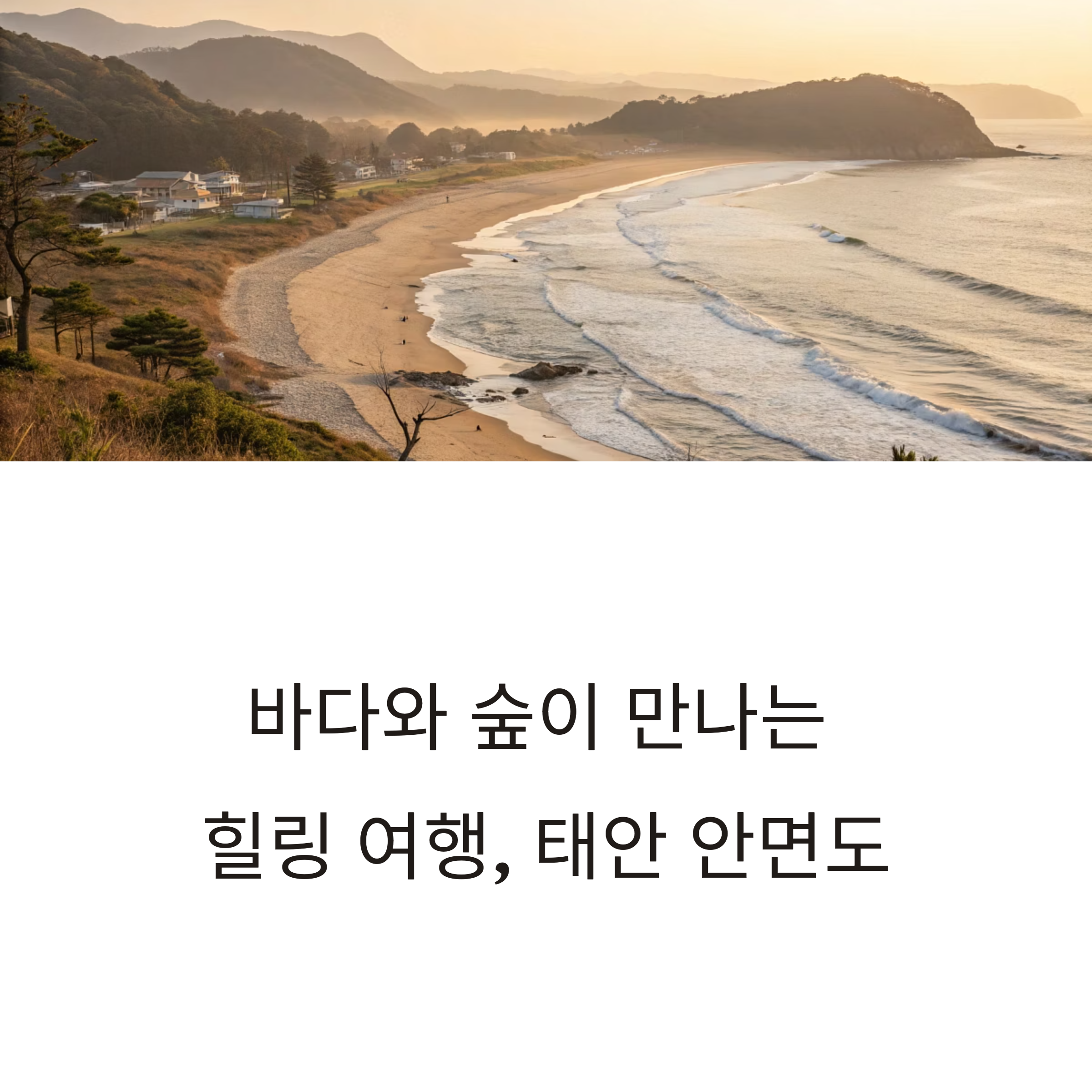 태안 안면도 여행 코스
