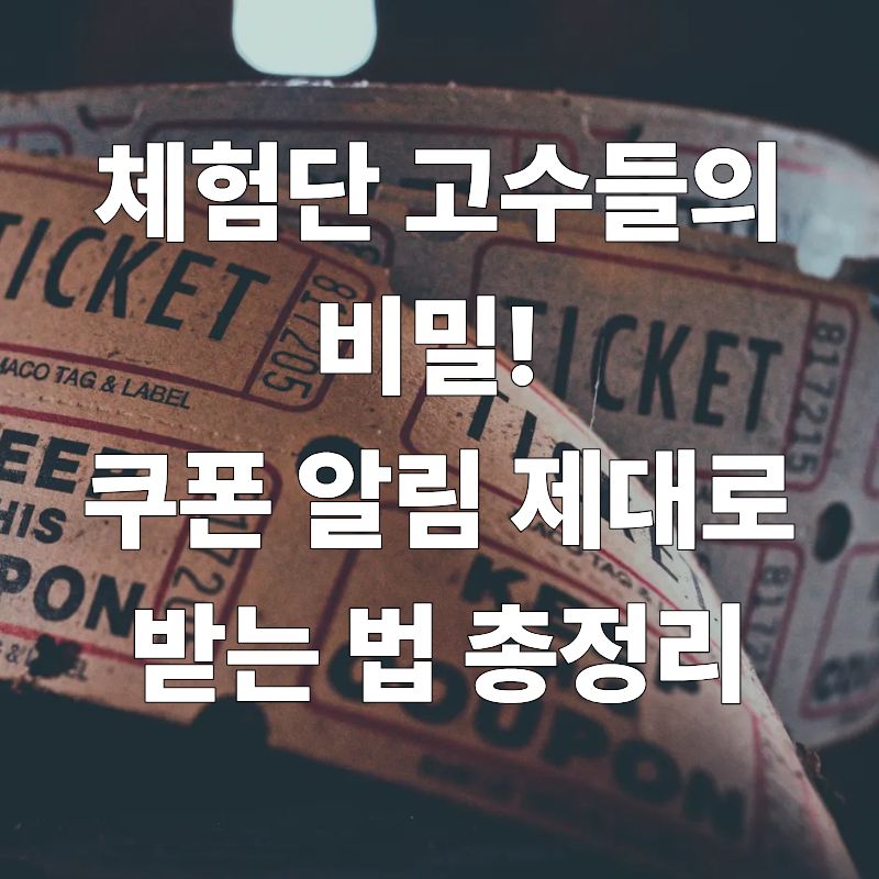 체험단 고수들의 비밀! 쿠폰 알림 제대로 받는 법 총정리