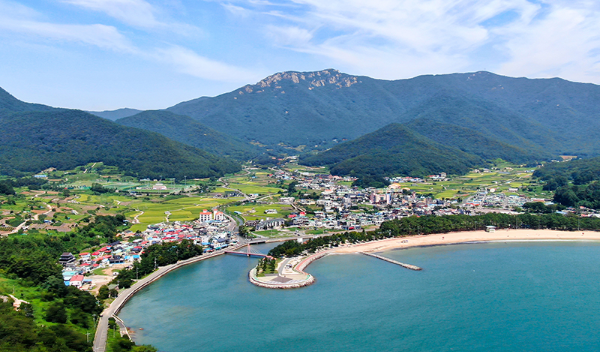 경상도 겨울 트레킹 추천 BEST 5 : 고요하고 깊은 남부의 겨울 숲길