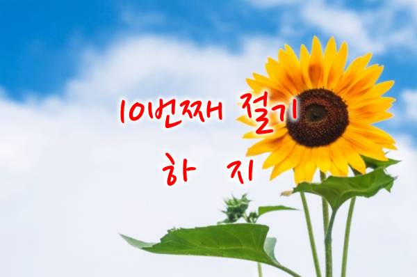 여름절기 하지