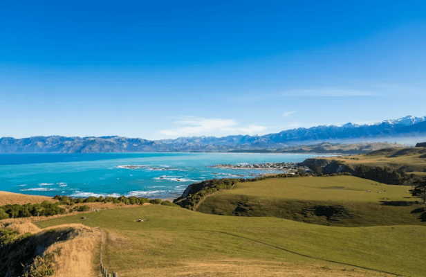 뉴질랜드/호주 캠핑카 투어: 완벽 가이드!