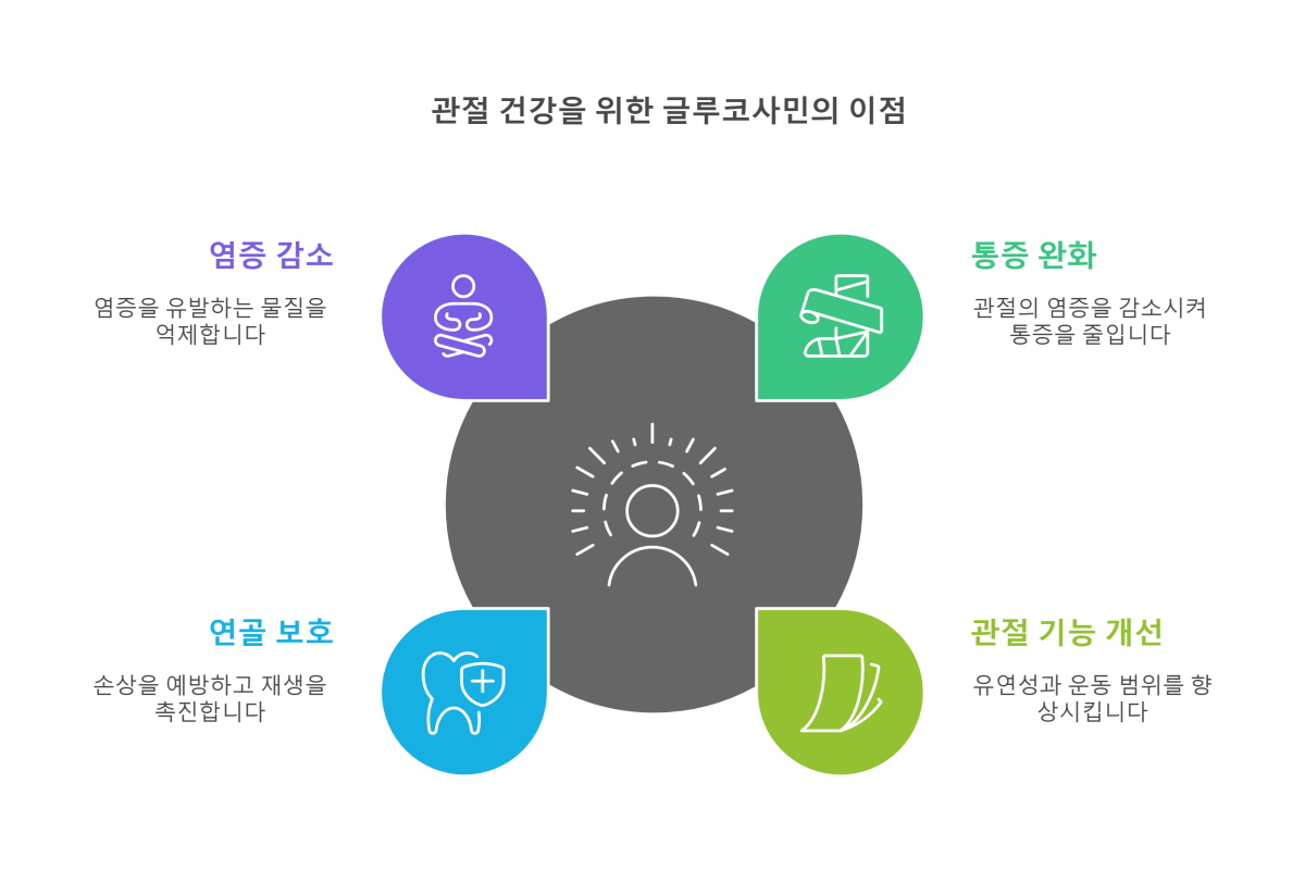 글루코사민의 효능