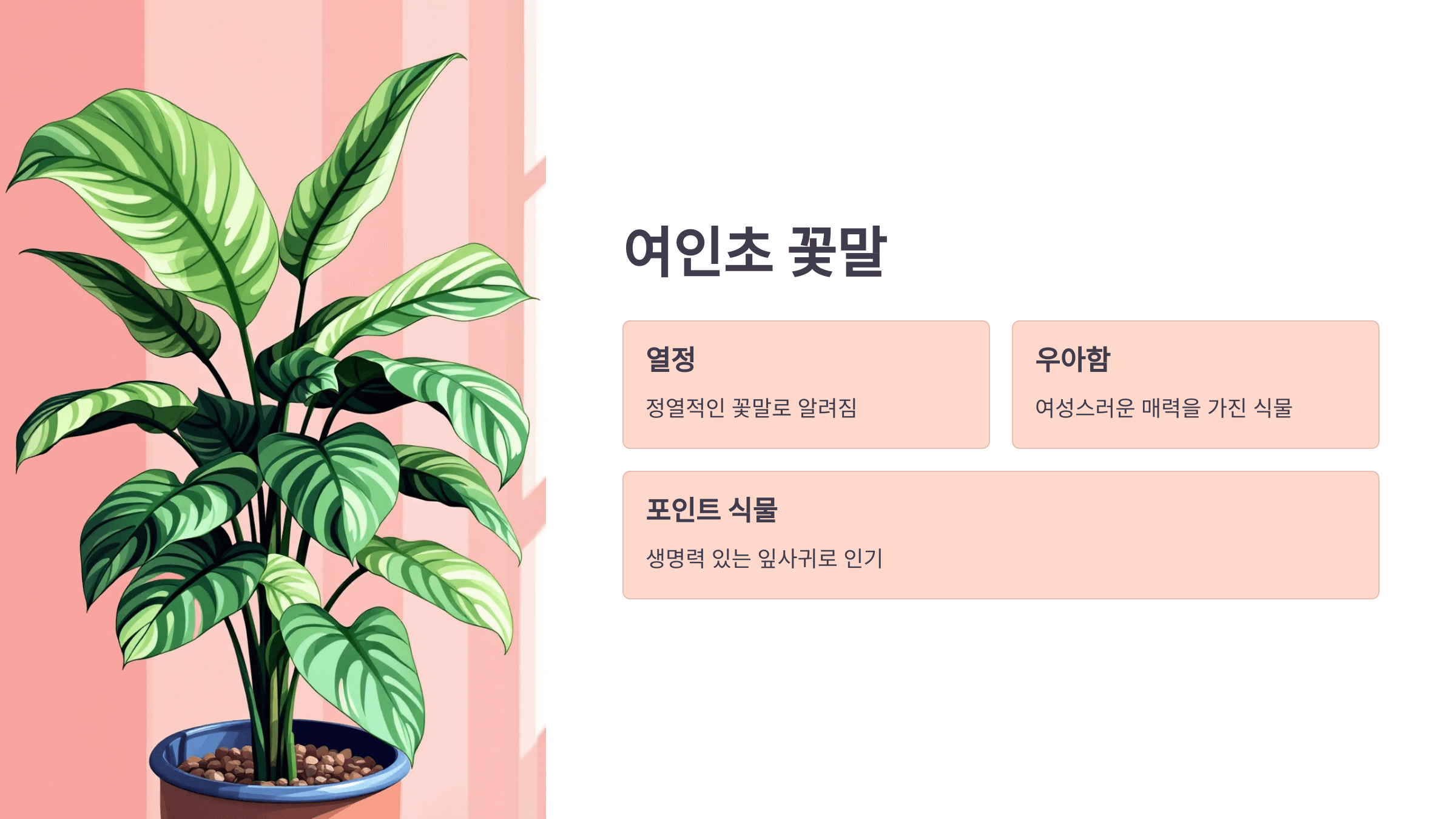 여인초 사진입니다.