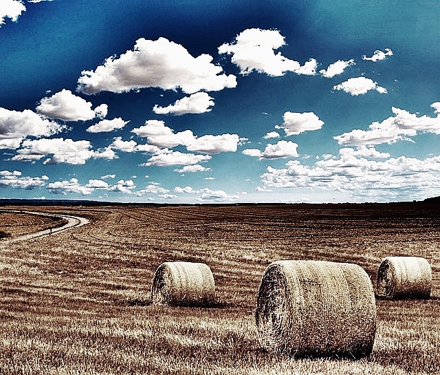 2024년 공익직불금 의무 교육 신청방법