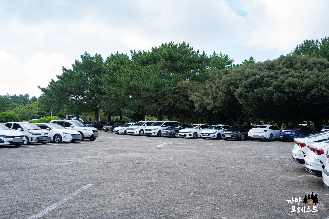 제주 만장굴 주차장