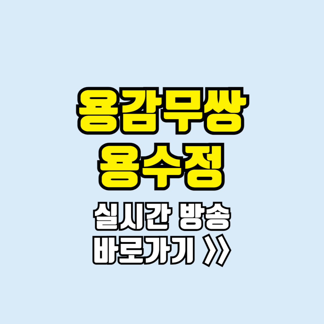 용감무쌍용수정 실시간방송