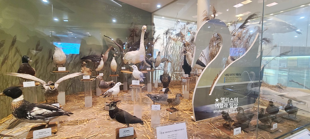 부산 체험학습 장소 BEST 07 고등학생 추천 실내 가볼만한곳